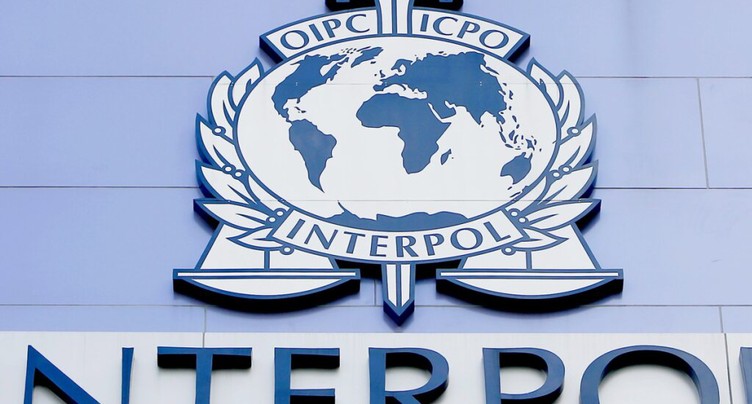 Le trafic d'animaux vivants a atteint de nouveaux records