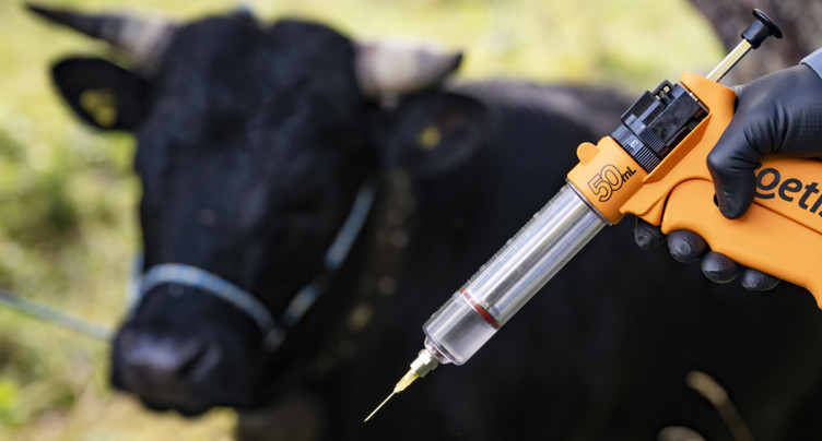 France: agriculteurs mécontents de la stratégie face à la DNC