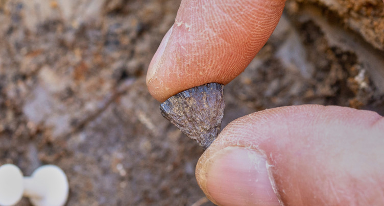 La plus ancienne preuve de maîtrise du feu trouvée au Royaume-Uni