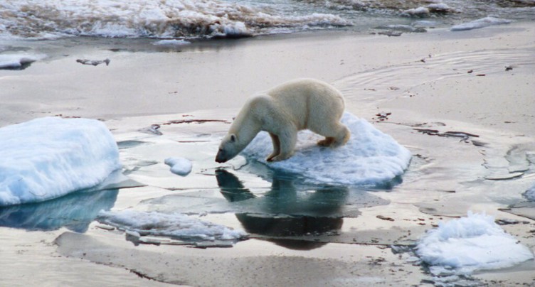 L'Arctique a vécu son année la plus chaude jamais enregistrée