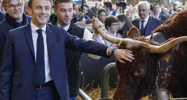 Pour la première fois, aucun bovin au Salon de l'agriculture