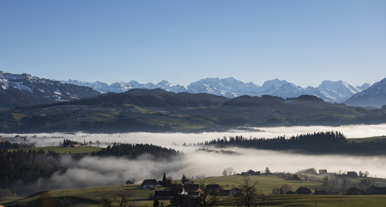 L'état de la biodiversité en Suisse demeure bas et insatisfaisant