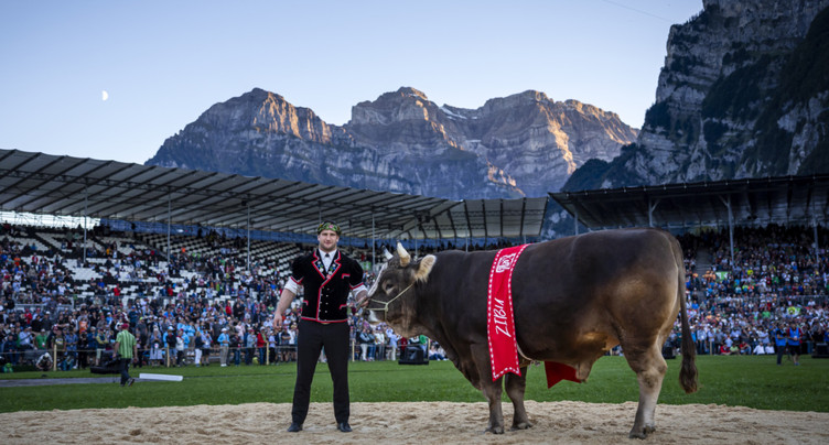 La FFLS de Mollis (GL) clôture ses comptes sur un résultat positif