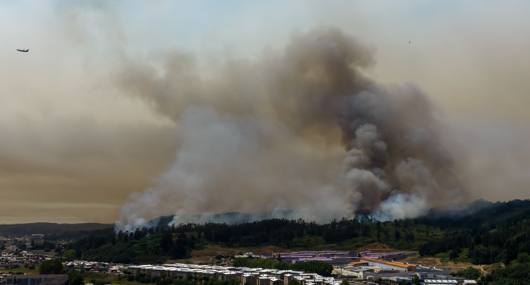 Incendies au Chili: au moins 19 morts