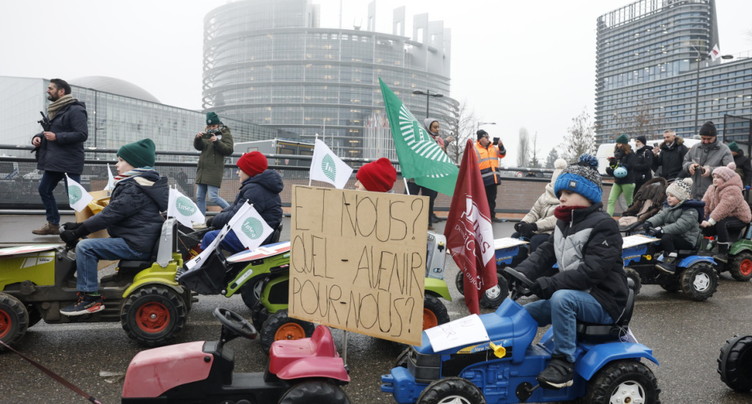Mercosur: le Parlement européen saisit la justice de l'UE
