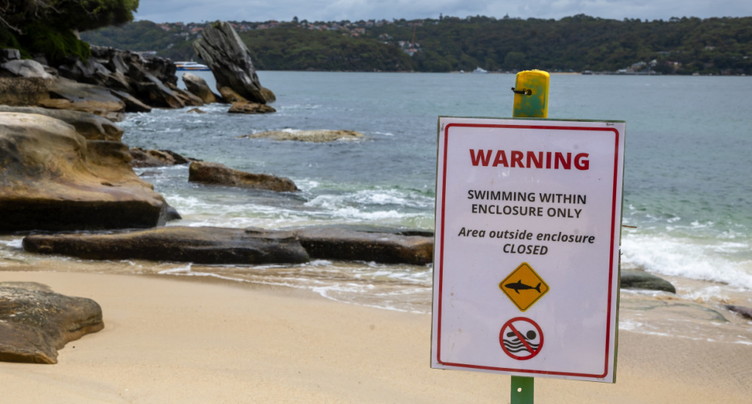 Australie: un enfant meurt des suites d'une attaque de requin