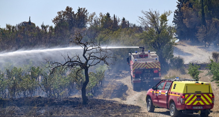 France: près de 100 hectares brûlés dans le Maine-et-Loire
