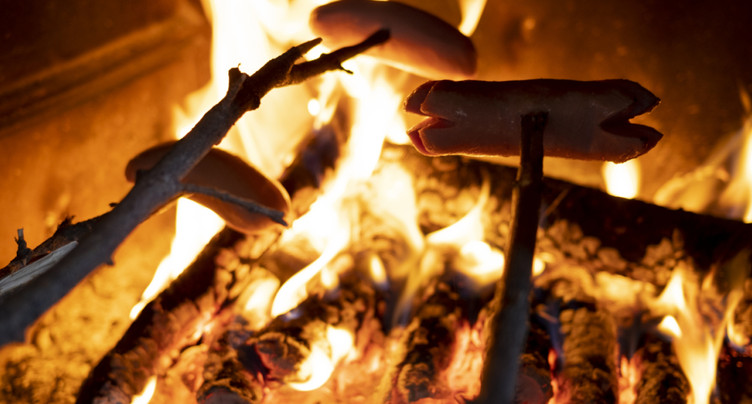 Canicule: comment éviter les incendies de forêt
