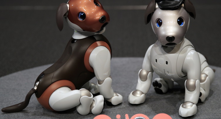 Sony arrête la vente de son chien robot « aibo » au Japon