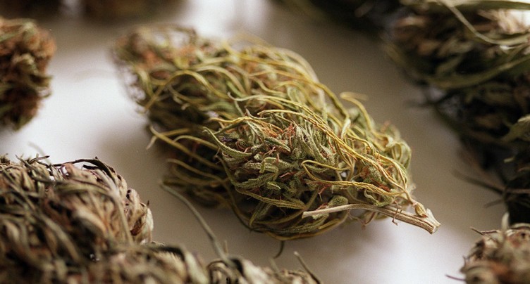 Il « déclare » 117 kg de cannabis à la douane germano-suisse