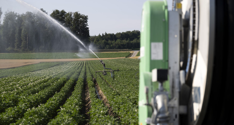 Les agriculteurs face au défi de la canicule
