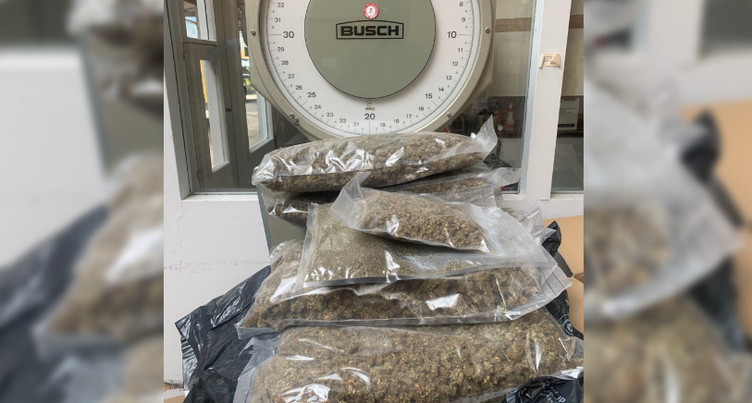 Saisie de 5,3 kilos de marijuana aux Verrières