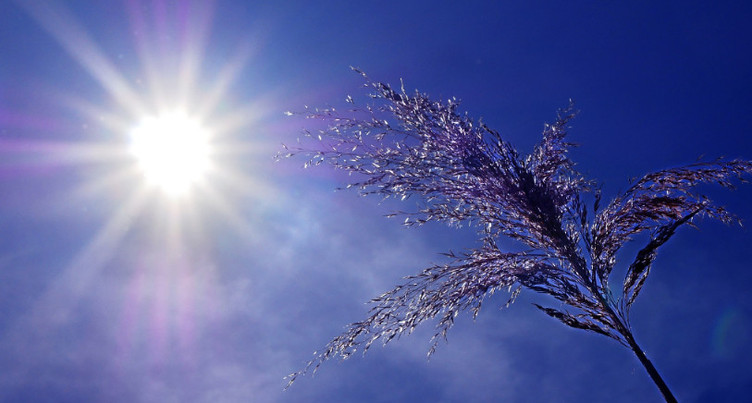Premières prévisions du réchauffement climatique à Neuchâtel