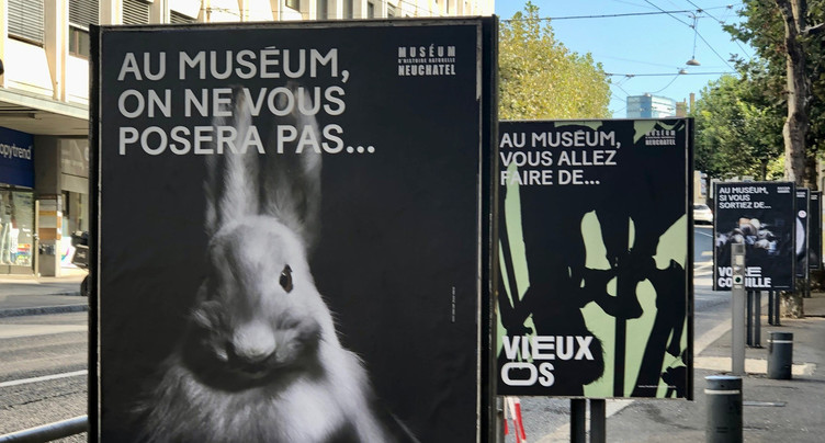 Des affiches pour inviter le public au Muséum