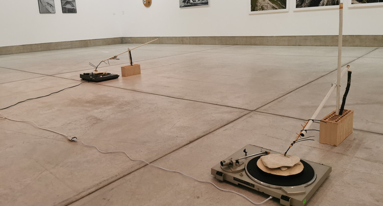 La Biennale d’art contemporain jubile pour sa 75e édition