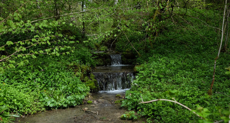 « File l’Allaine » suit les méandres du cours d’eau