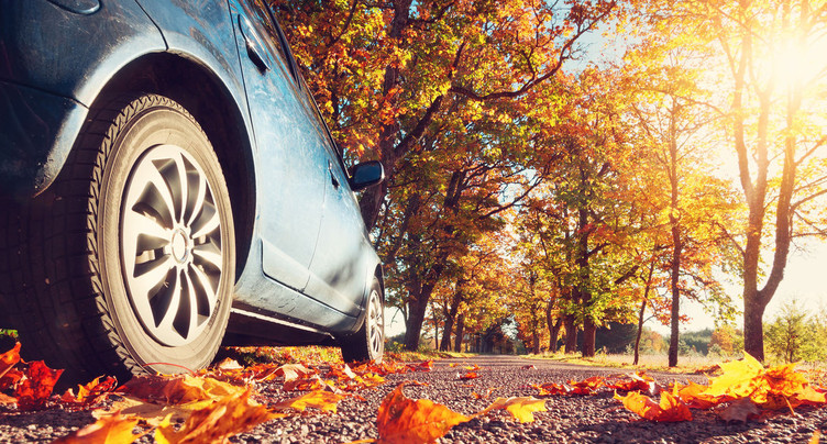Au garage, les dimanches sans voiture