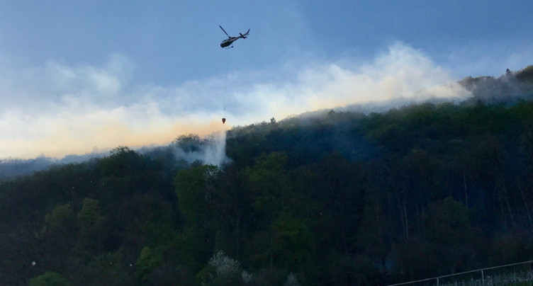 Incendie de forêt élucidé à La Neuveville