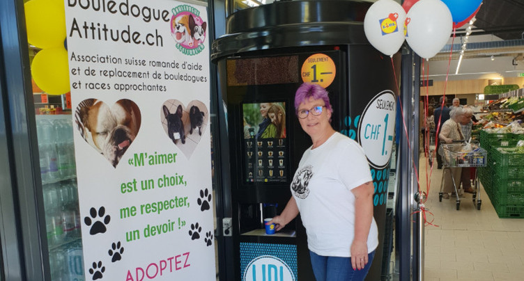 La bonne attitude avec les bouledogues