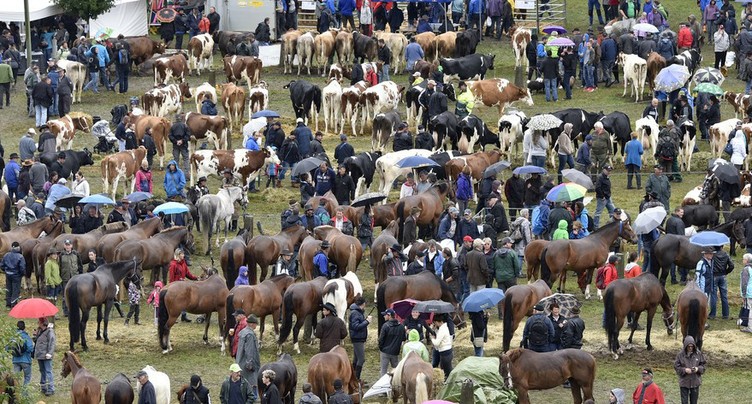 La Foire de Chaindon en ligne de mire