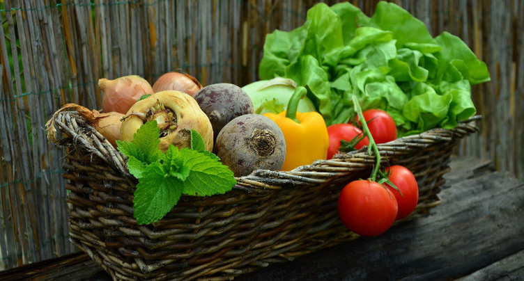 Bientôt des repas bio à l’école