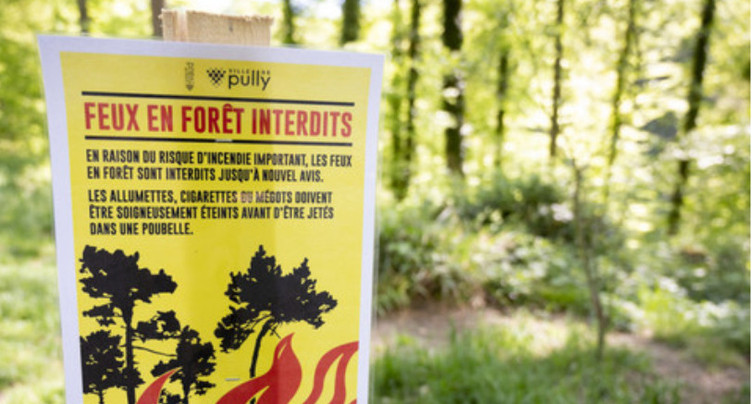 Risque marqué d'incendie de forêt dans plusieurs régions de Suisse