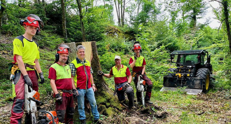 Tempête : les forêts de la Ville de Neuchâtel relèvent la tête