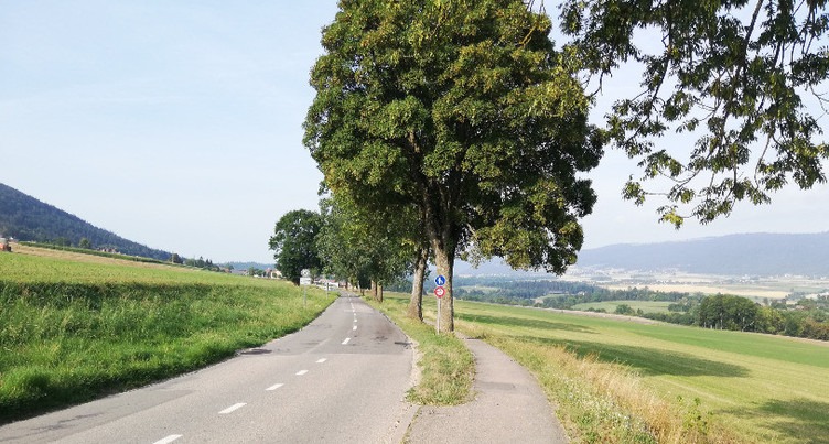 Travaux sur la route entre Saules et le giratoire de la Côtière