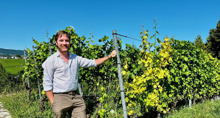 Du renouveau au Musée de la vigne et du vin à Boudry