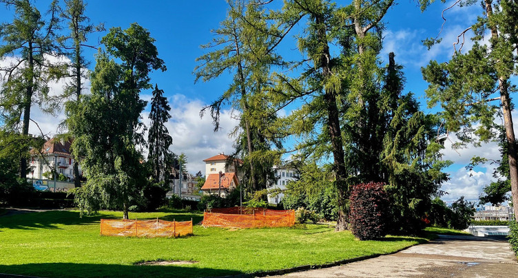 Le parc des Musées entame sa mue
