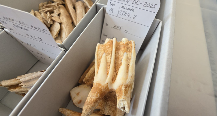 Vestiges inattendus sous Cornaux