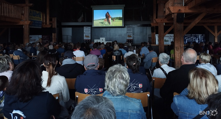 Vingt-quatre minutes de pure passion pour l’élevage du cheval franches-montagnes