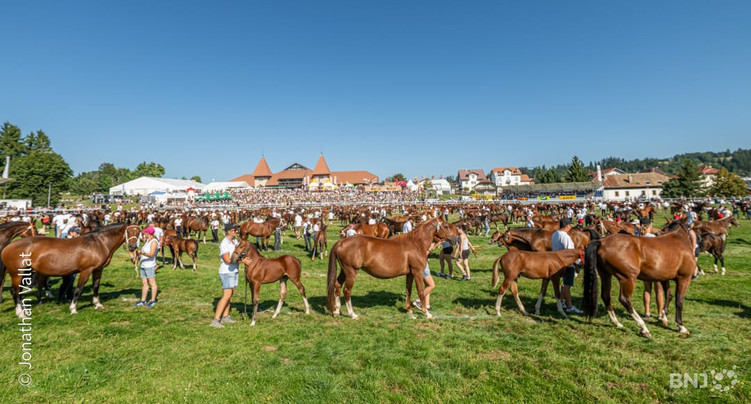 Un 120e Marché-Concours « magnifique » avant une prochaine édition historique
