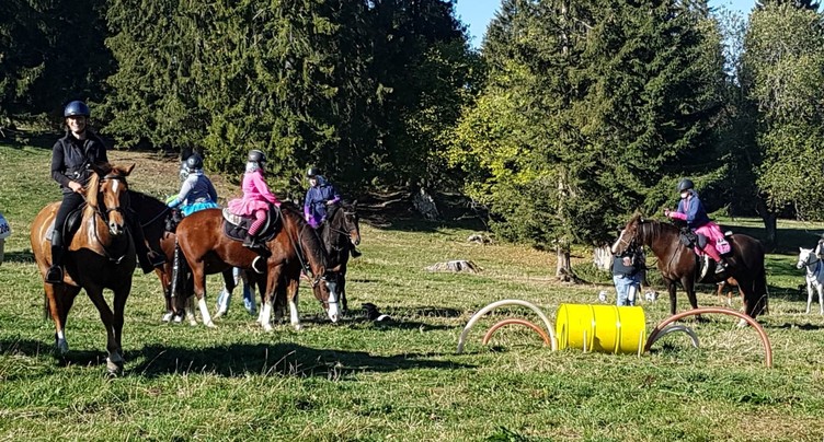 Le Franches Equi Trail met en avant le réseau équestre franc-montagnard