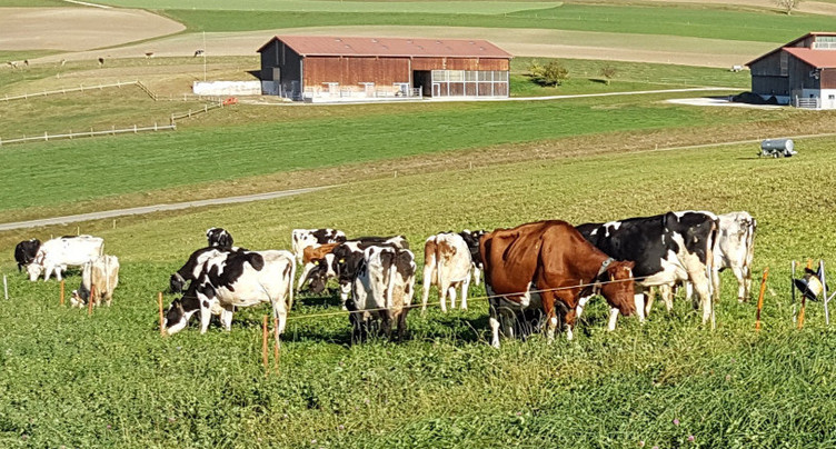 Le coronavirus pèse aussi sur les agriculteurs