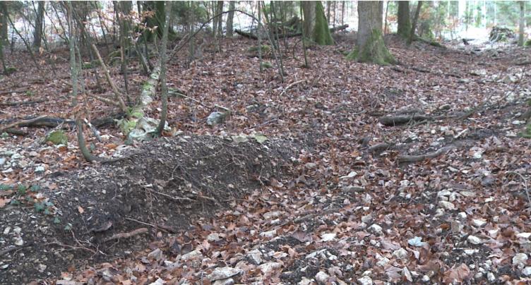 Les autorités s’attaquent à la moto sauvage en forêt