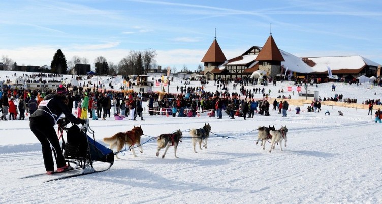 Des chiens, la Sibérie et un champion du monde