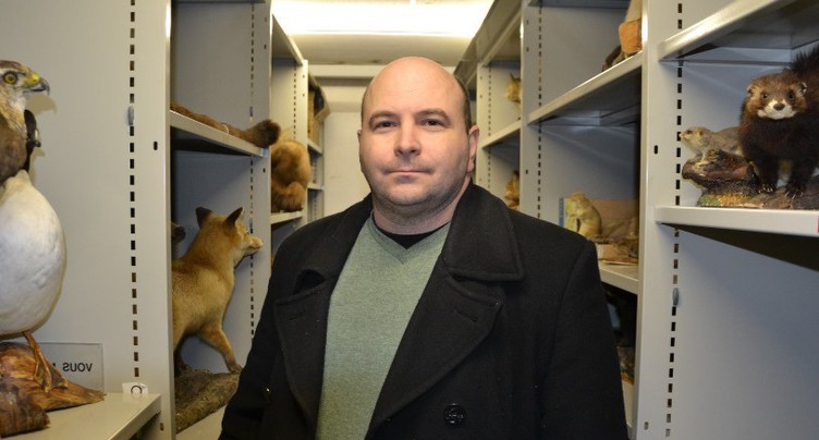 Vers une meilleure visibilité et accessibilité au Jurassica Museum
