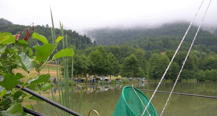 Une pénurie de poissons géniteurs frappe le Jura