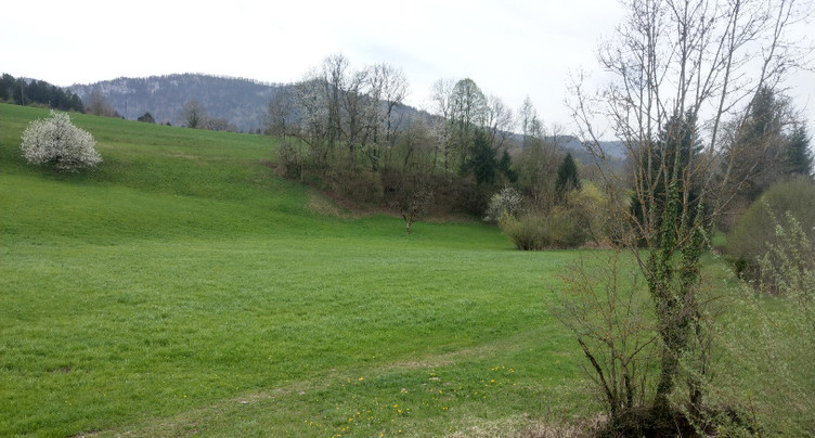Corcelles aura son festival cet été