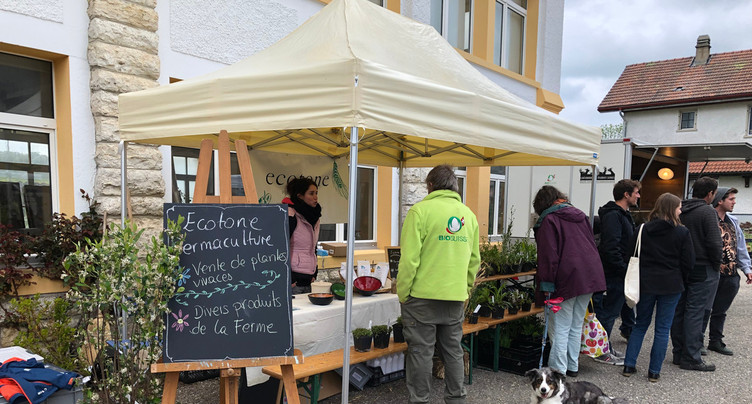 Le 2e marché de la permaculture a enfin eu lieu