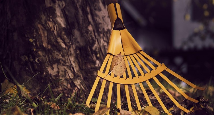 Nettoyer, protéger et planter