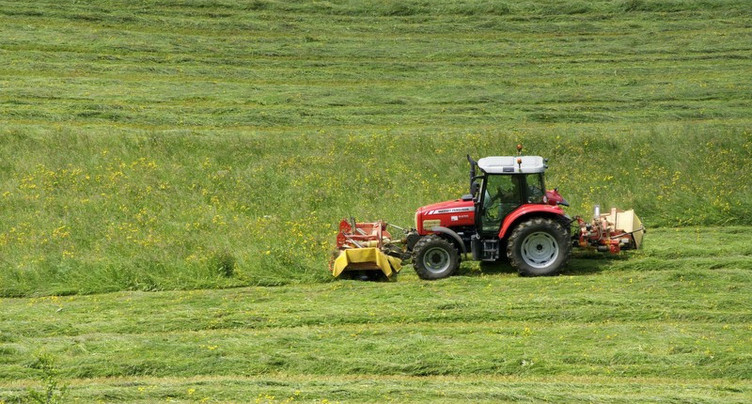 Les fermes isolées face au défi de la canicule