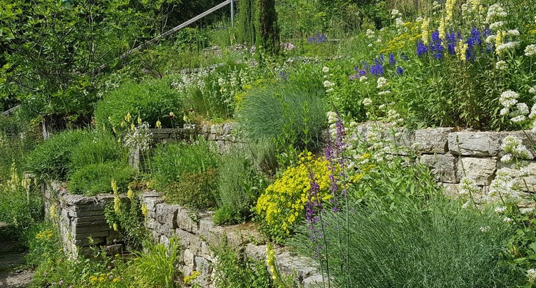 La biodiversité à portée de main