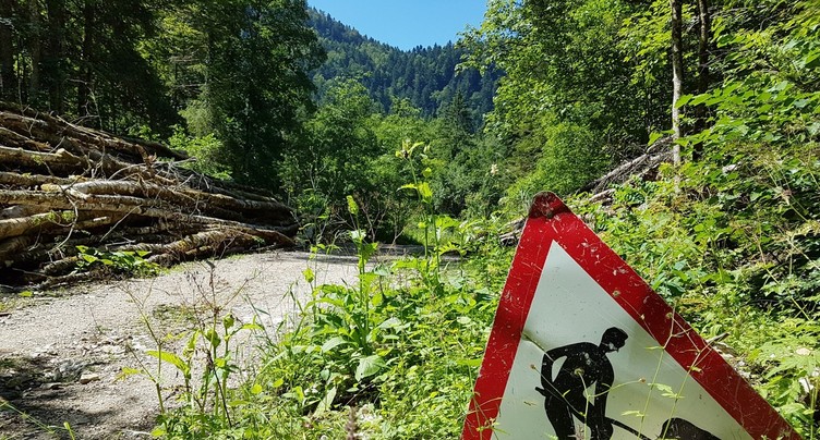 Confort accru le long du Tabeillon