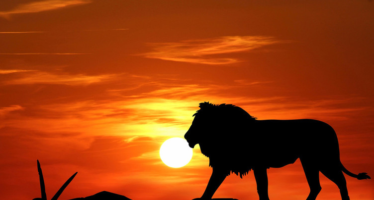Le Roi Lion est de retour au cinéma