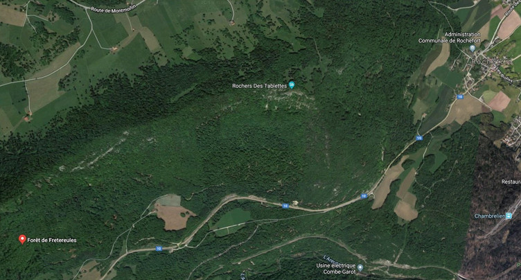 Une arme mystérieuse découverte dans la forêt de Fretereules