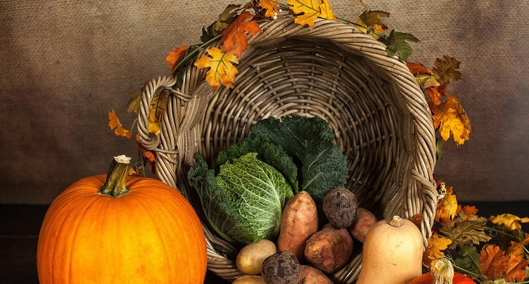 La conservation des légumes