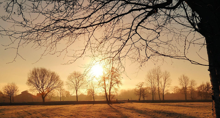 « Le monde en cause » : une forêt anglaise pas comme les autres