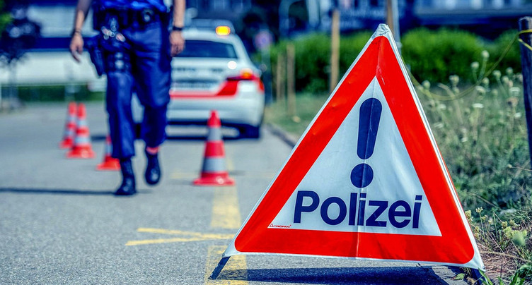 Ferme évacuée près de Mervelier : plus de 100 chiens euthanasiés